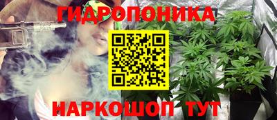 гашик Дмитров