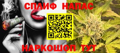 гашик Дмитров