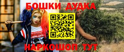 сатива Долгопрудный