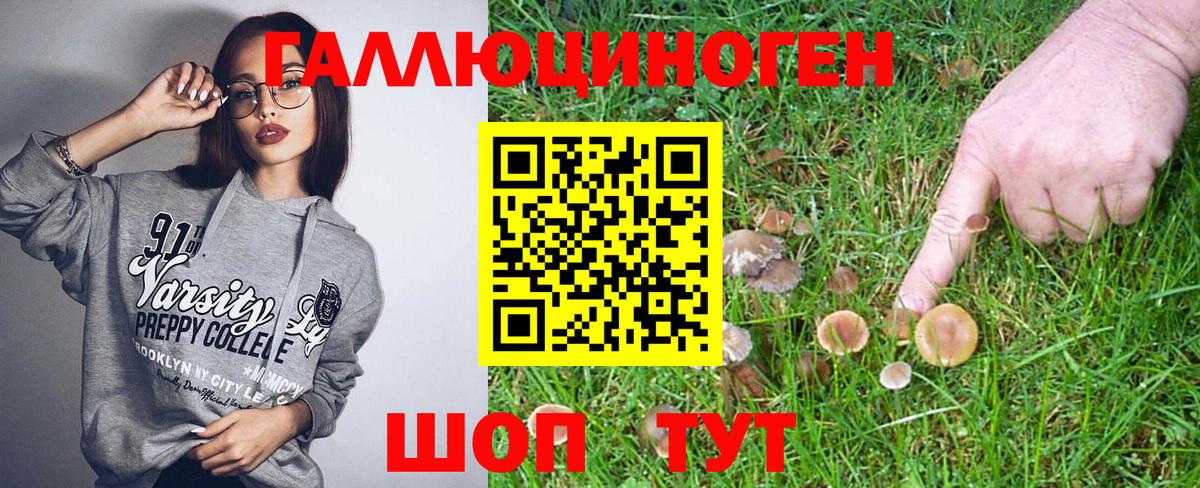Псилоцибиновые грибы прущие грибы  Галлюциногенные грибы MAGIC MUSHROOMS  Всеволожск  Вход с VPN 